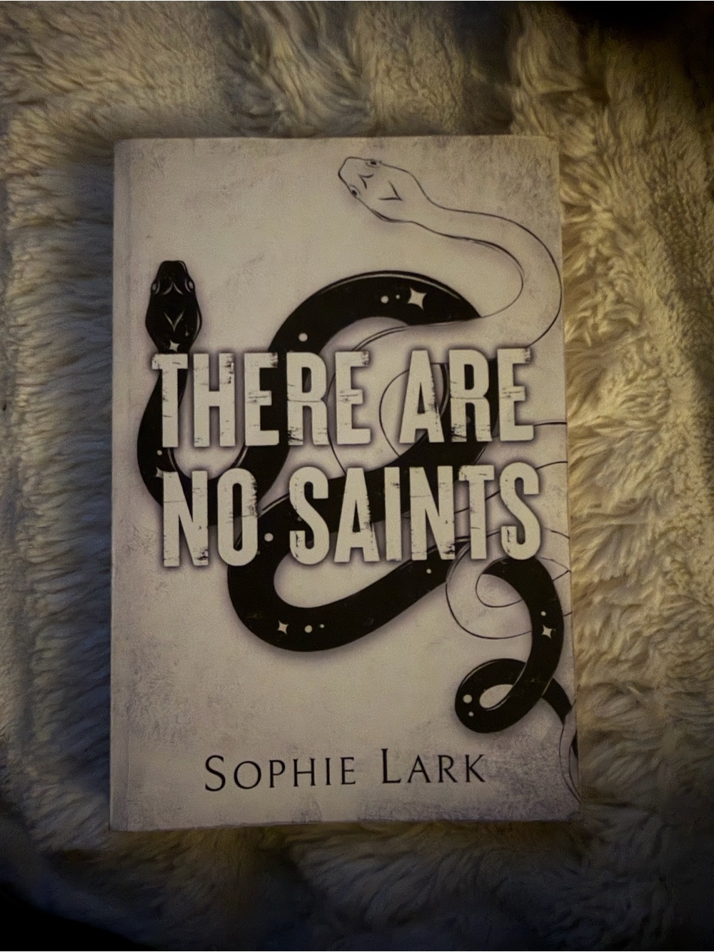 There are No Saints - Sophie Lark